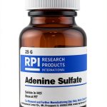 RPI Adenine Hemisulfate Salt Chemical Formula C5H5N5-0
