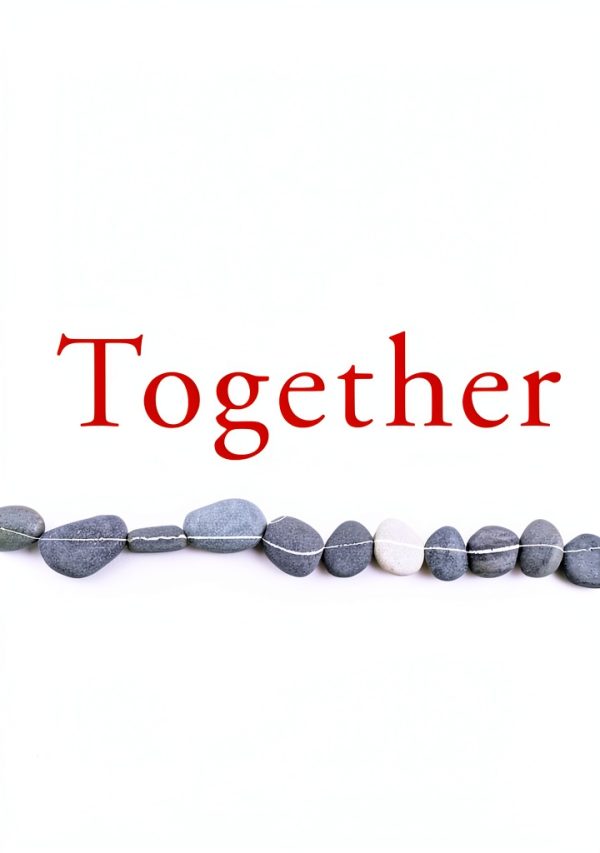 Harper Mate Seeking Kindle Book - 352 Page Guide to Relationships-0